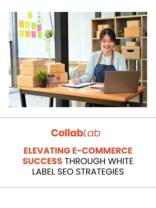 Elevating E-commerce Success Through White Label SEO Strategies