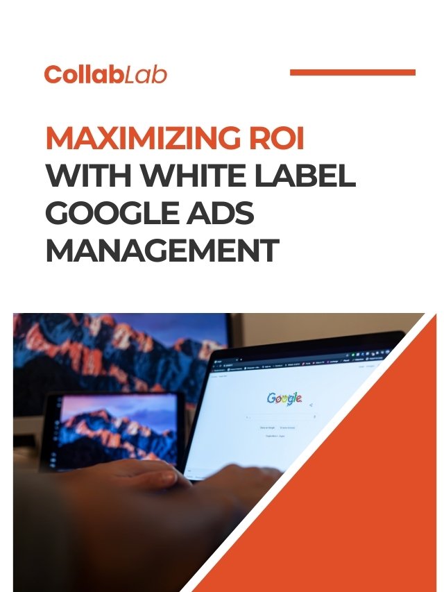 Maximizing ROI with White Label Google Ads Management