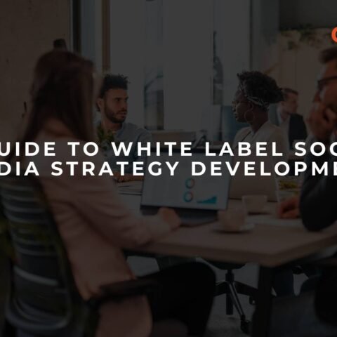 a-guide-to-white-label-social-media-strategy-development