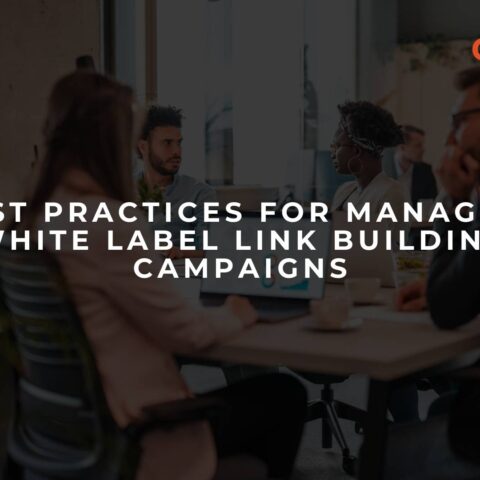 best-practices-for-managing-white-label-link-building-campaigns