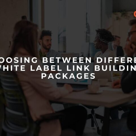 choosing-between-different-white-label-link-building-packages