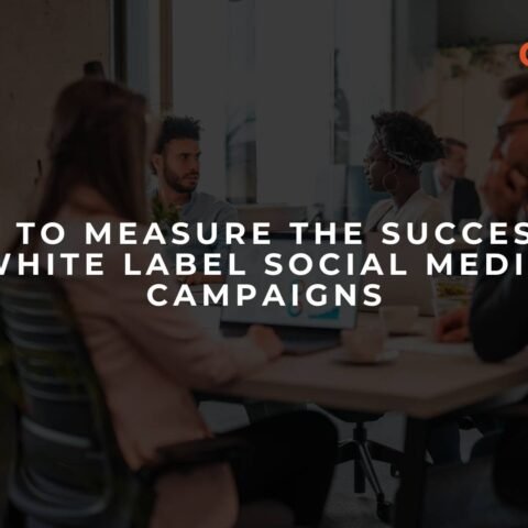 how-to-measure-the-success-of-white-label-social-media-campaigns