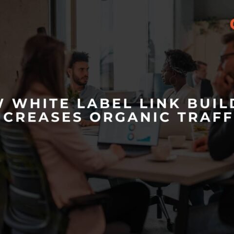 how-white-label-link-building-increases-organic-traffic