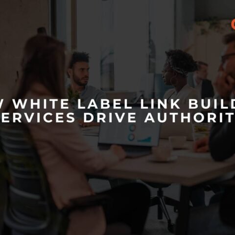 how-white-label-link-building-services-drive-authority