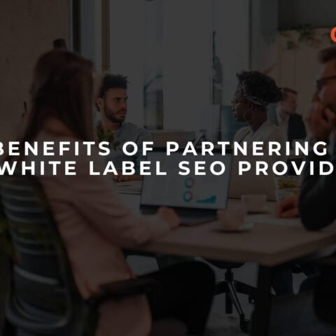 the-benefits-of-partnering-with-a-white-label-seo-provider