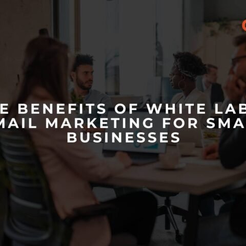 the-benefits-of-white-label-email-marketing-for-small-businesses