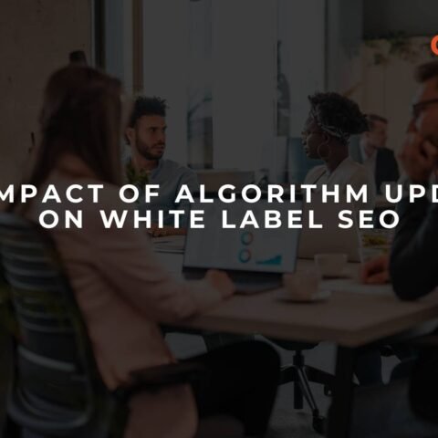 the-impact-of-algorithm-updates-on-white-label-seo