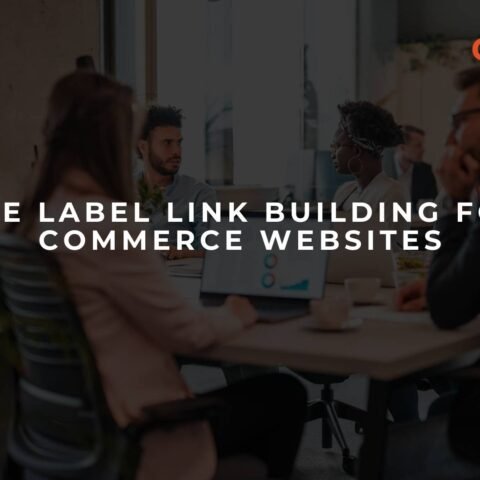 white-label-link-building-for-e-commerce-websites