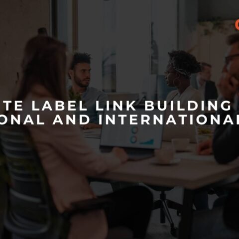 white-label-link-building-for-national-and-international-seo