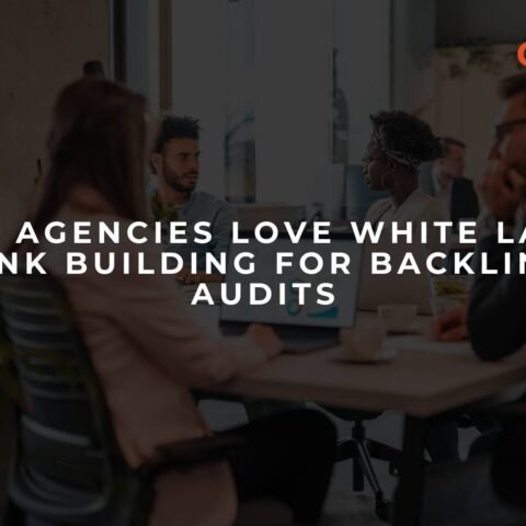 why-agencies-love-white-label-link-building-for-backlink-audits