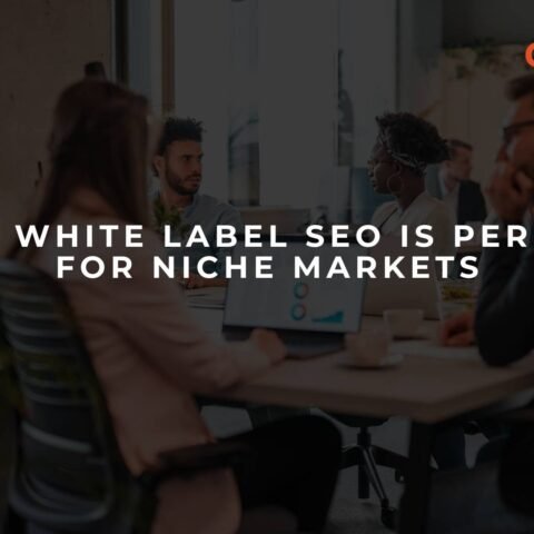 why-white-label-seo-is-perfect-for-niche-markets