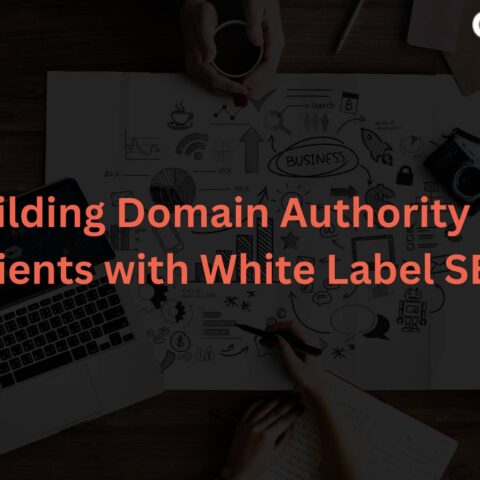 building-domain-authority-clients-white-label-seo