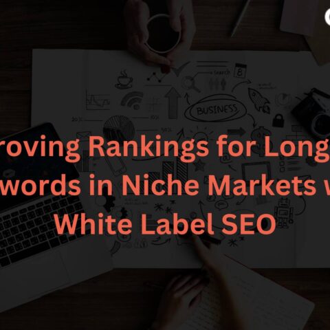 improving-rankings-long-tail-keywords-niche-markets-white-label-seo