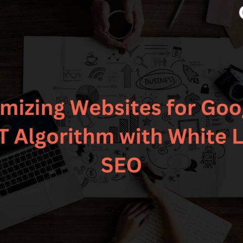 optimizing-websites-google-s-bert-algorithm-white-label-seo